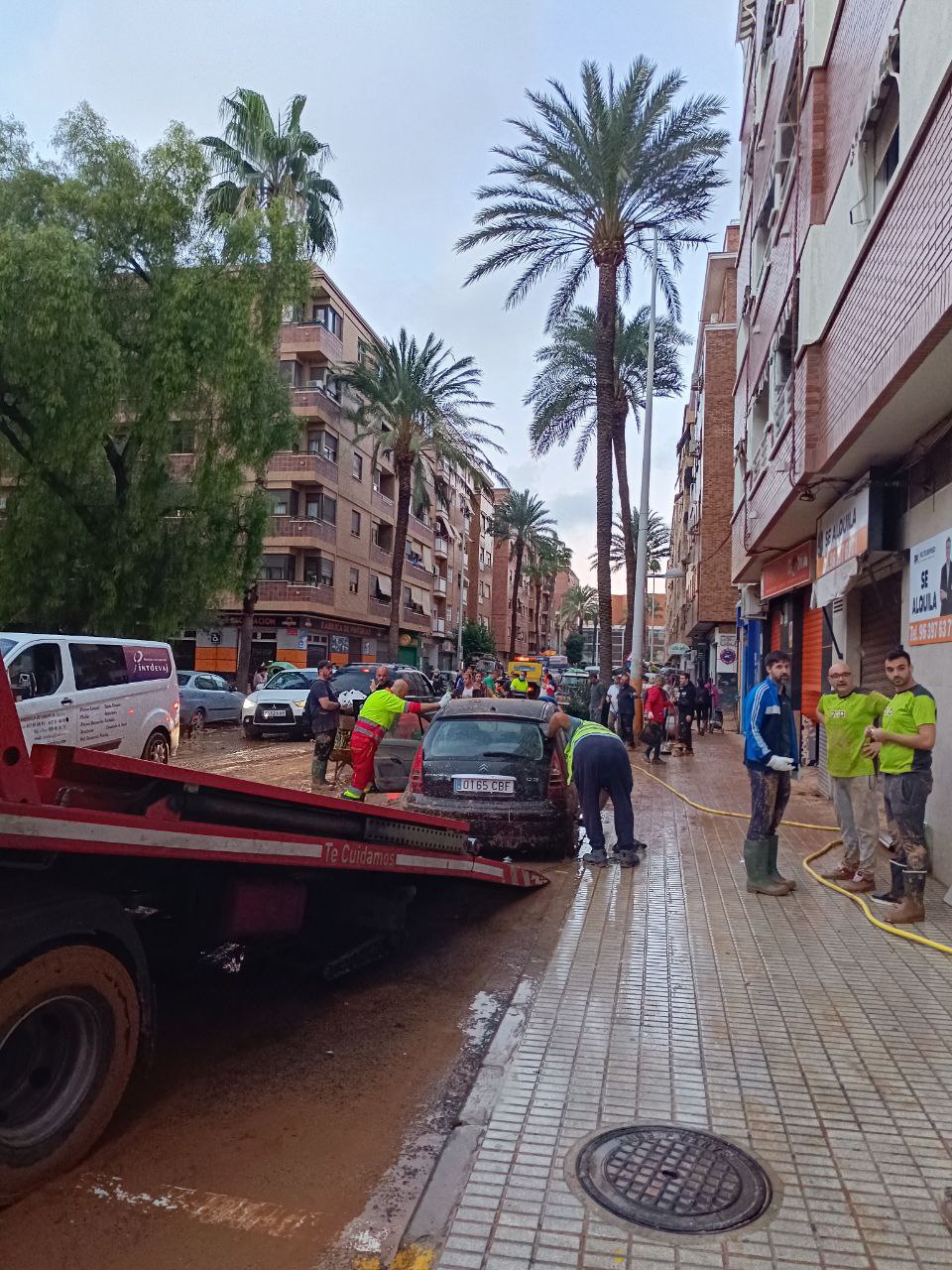 Situación del Carrer Mestre Palau (Sábado 02/11/2024)